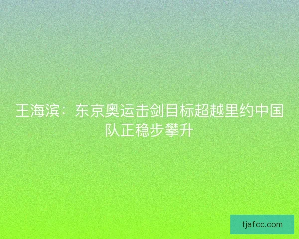 王海滨:东京奥运击剑目标超越里约中国队正稳步攀升 王海滨:东京奥运击剑目标超越里约中国队正稳步攀升