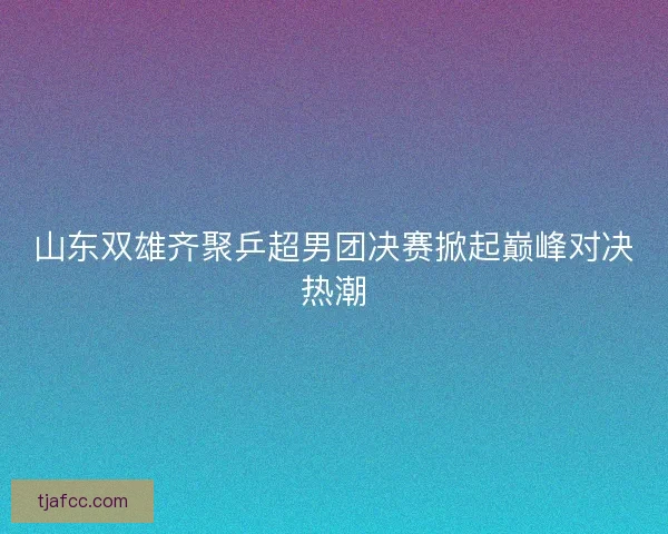 山东双雄齐聚乒超男团决赛掀起巅峰对决热潮